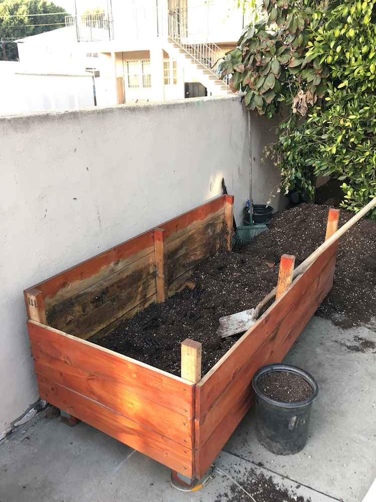 Planter slowly being deconstructed.