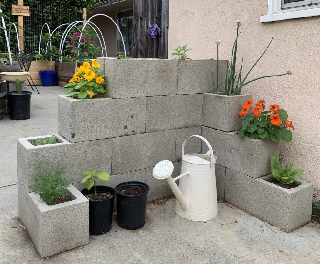 How to Build a Concrete Block Herb and Flower Garden - Front Yard Veggies