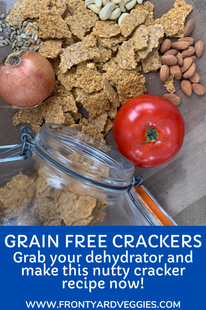 grain free crackers pinterest 