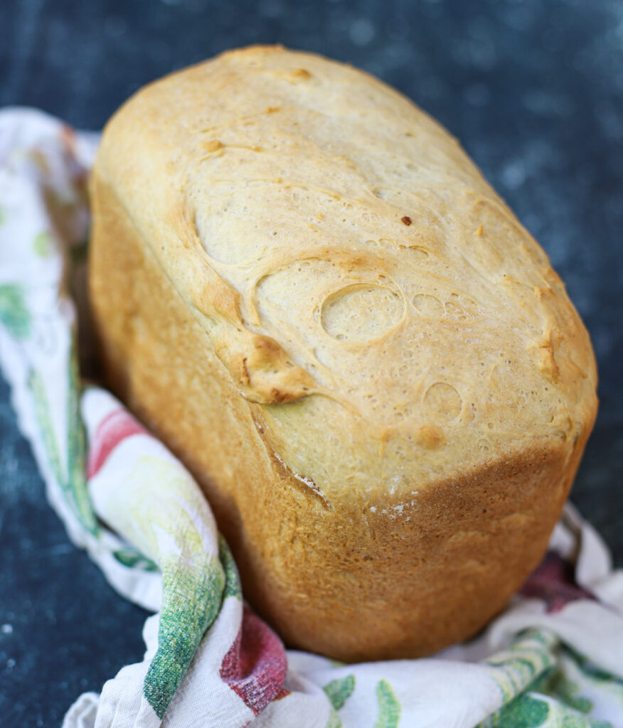 cottage cheese bread 