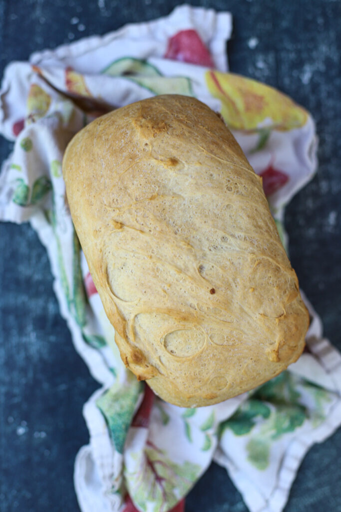 cottage cheese bread 