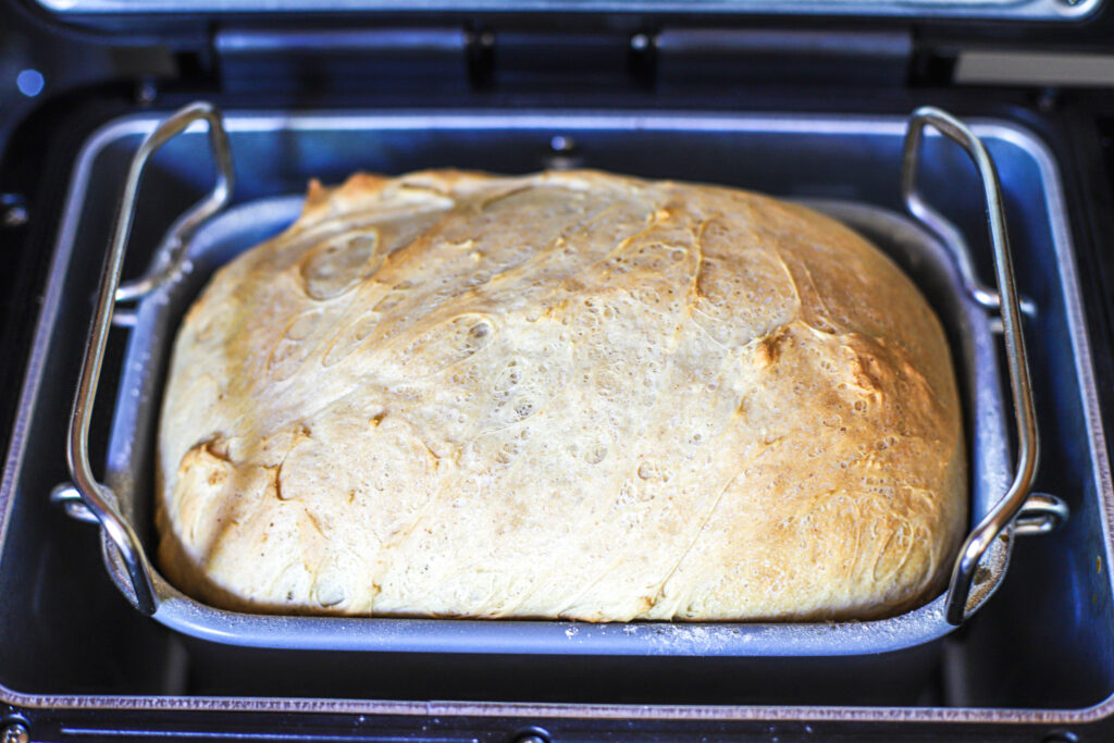 cottage cheese bread 