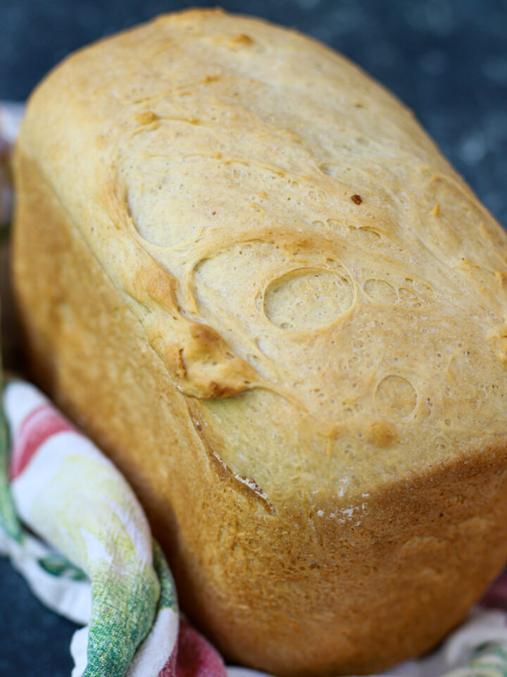 Freshly baked cottage cheese bread in a bread machine pan, with a light golden crust.