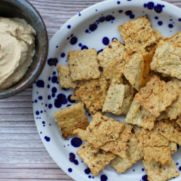 Golden sourdough discard crackers served on a speckled plate, accompanied by a bowl of creamy hummus dip with crackers nestled on top.